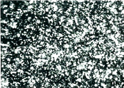 미세 Tempered Martensite 및 Bainite조직 